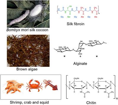 Advancements and Frontiers in the High Performance of Natural Hydrogels for Cartilage Tissue Engineering